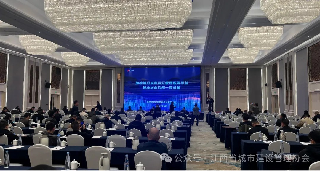 1733102654386704.jpg 2.jpg